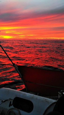 PANO_20200825_200639.jpg, sept. 2020